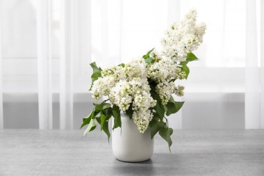 Odanın penceresinin yanındaki masada leylak dalları olan vazo.