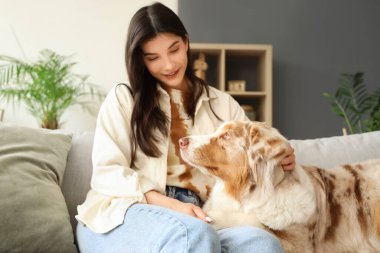Avustralya çoban köpeği olan genç bir kadın evdeki kanepede oturuyor.
