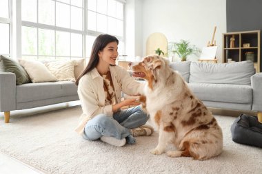 Avustralya çoban köpeğinin patilerini tutan genç bir kadın.