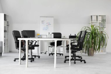 Masası, koltukları, raf ünitesi ve saksısı olan ışık konferans salonu.