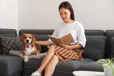 Genç bir kadın kitap okuyor ve oturma odasındaki kanepede sevimli bir Beagle köpeği okşuyor.