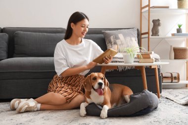 Genç bir kadın kitap okuyor ve oturma odasında yerde sevimli bir Beagle köpeği okşuyor.