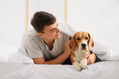 Genç adam yatakta sevimli Beagle köpeğine sarılıyor.