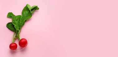 Pembe arkaplanda taze turp, metin için boşluk, üst görünüm