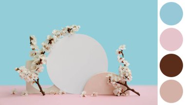 Boş kartıyla dekoratif podyumlar ve renkli arka planda çiçek açan güzel ağaç dalları.