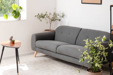 Işıl ışıl oturma odasının içinde rahat gri kanepe, sehpa ve raf ünitesi.