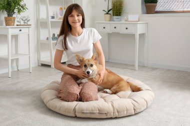Evcil hayvan yatağında oturan güzel genç bir kadın ve oturma odasında sevimli bir Corgi köpeği var.