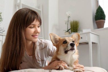 Güzel genç bir kadın evcil hayvan yatağında uzanıyor. Oturma odasında sevimli bir Corgi köpeğiyle.