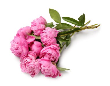 Beyaz arka planda pembe şakayık çiçekleri.