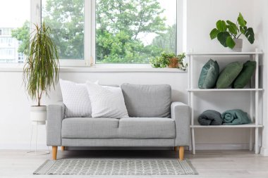 Şık gri kanepe, yastıklı raf ünitesi ve oturma odasının penceresinin yanındaki ev bitkileri.