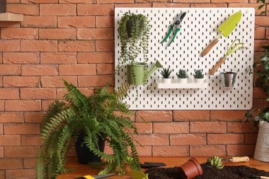 Bahçe aletleri ve fabrikalarla dolu tahta atölyede.