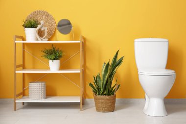 Ev bitkileri ve turuncu duvarın yanında seramik klozeti olan şık bir banyo.