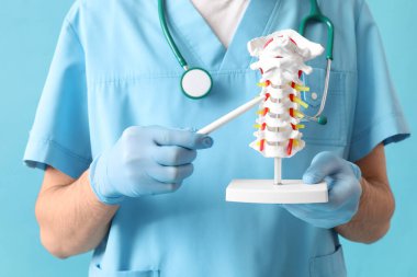 Erkek doktor mavi arka planda omurga modeliyle omurilik anatomisi gösteriyor.
