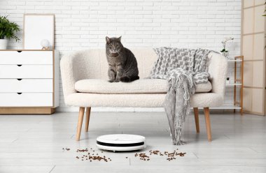 Şirin kedi, dağınık yemek ve robot elektrikli süpürge.