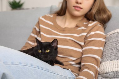 Oturma odasında kanepede oturan sevimli siyah kedili kadın, yakın plan.