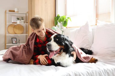 Battaniyeli küçük çocuk ve yatak odasında oturan Bernese dağ köpeği.
