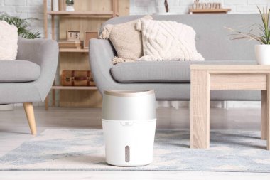 Oturma odasındaki halının üzerinde hava nemlendirici.