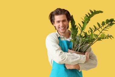 Sarı arka planda yakışıklı bahçıvan sarılma bitkisi