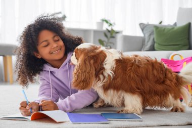 Genç Afro-Amerikalı kız güzel süvari Kral Charles Spaniel 'le ev ödevi yapıyor.
