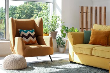 Rahat kanepe ve koltuk modern oda içi