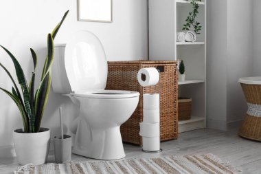 Tuvalete klozet, çamaşır sepeti, kağıt tutacağı ve saksı.