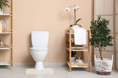 Seramik klozet, ev bitkileri ve bej duvarın yanında raf ünitesi olan şık bir tuvalet.