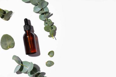 Bir şişe okaliptüs esaslı yağ, beyaz arka planda yapraklar ve dallar.