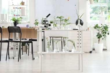 Biyoloji sınıfında raflarda bitkiler olan mikroskop ve cam eşyalar.