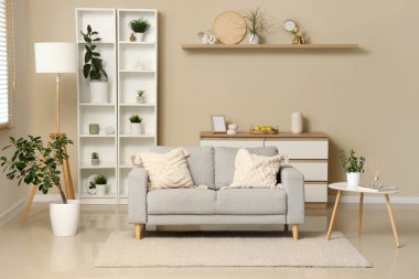 Gri kanepesi ve raf ünitesi olan modern şık oturma odasının içinde.