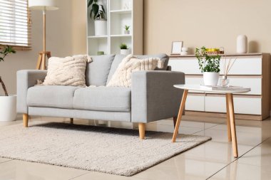 Gri kanepesi ve raf ünitesi olan modern şık oturma odasının içinde.