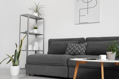 Kanepesi, raf ünitesi ve farklı bitkileri olan modern stil oturma odasının içinde.