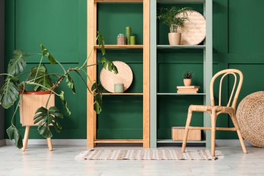 Raflar, hasır sandalye ve farklı ev bitkileriyle modern şık bir oda.