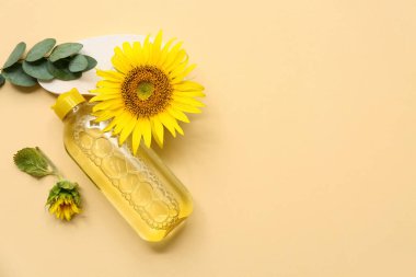 Renkli arka planda bir şişe kozmetik ürünü ve ayçiçeği bileşimi