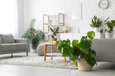 Oturma odasının içindeki beyaz tuğla duvarın yanında farklı bitkiler var.