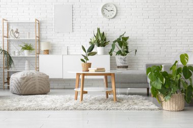 Oturma odasının içindeki beyaz tuğla duvarın yanında farklı bitkiler var.