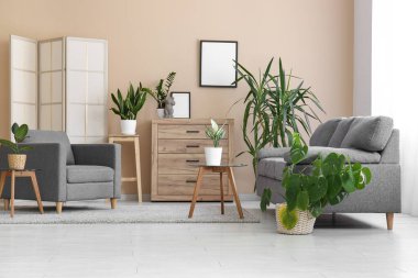 Koltuk, çekmeceler ve oturma odasındaki bej duvarın yanındaki bitkiler.