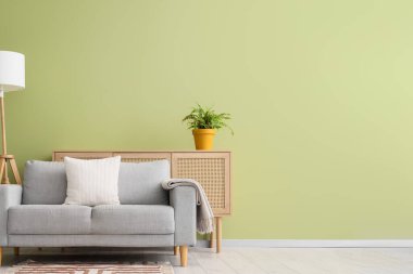 Ev bitkisi ve klozetli şık gri kanepe yeşil duvarın yanında.