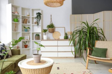 Ev bitkileri, raf ünitesi ve çekmeceleri olan aydınlık oturma odasının içinde.