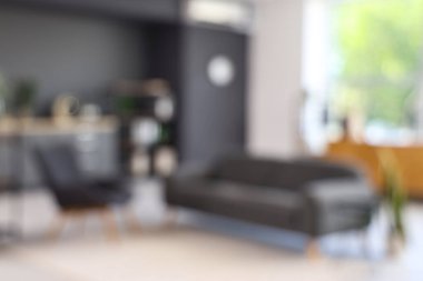 Siyah kanepesi ve koltuğu olan bulanık oturma odası manzarası