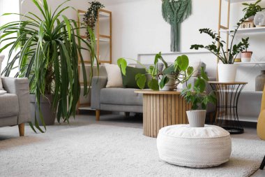 Yeşil çiçekli, kanepeli ve masalı aydınlık oturma odasının içi.