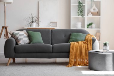 Konforlu kanepe, kaktüs ve dergi ile birlikte oturma odasının içinde.