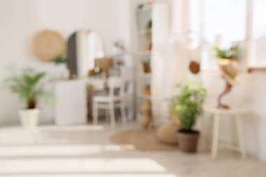 Masası, elbise askısı ve bitkileri olan bulanık makyaj odası manzarası