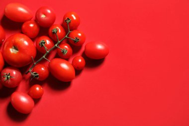 Kırmızı zemin üzerinde taze domatesler