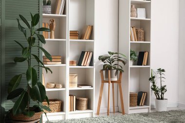 Raflarda kitapların ve ev bitkilerinin bulunduğu şık bir oda.