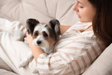Evdeki kanepede tatlı Terrier köpeği olan genç bir kadın yatıyor.