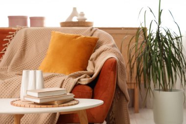 Oturma odasındaki kanepede kitaplarla dolu vazo, yakın plan.