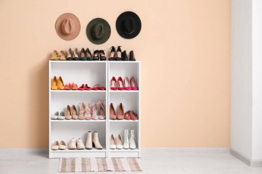 Renk duvarında farklı kadın ayakkabıları ve şapkaları olan raf ünitesi.