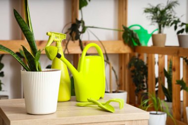 Bahçecilik aletleri seti atölyedeki masada, yakın plan