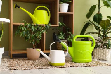 Su bidonları ve yeşil bitkiler odada, yakın plan.