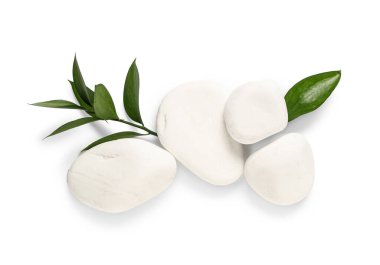 Beyaz zemin üzerinde spa taşları ve bitki dalı olan kompozisyon